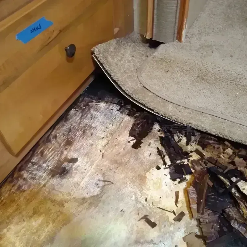 Wood Floor Water Damage in Prospect Heights, IL